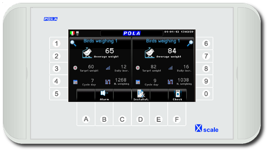 Pola Xscale - Bird weighing scales for 2 plates